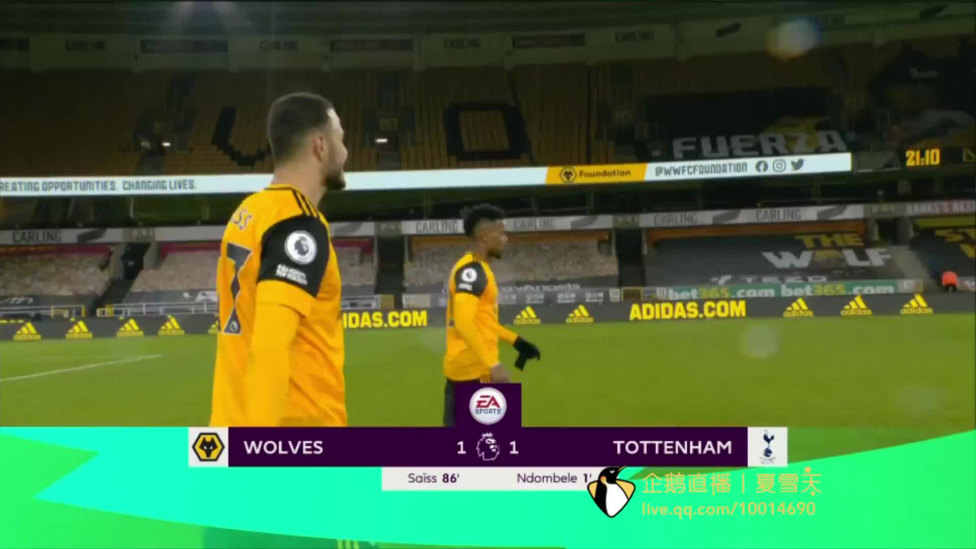 引进沃尔特 引进沃尔特