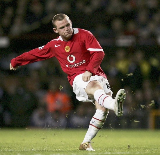 他成员形成 他成员形成